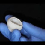 Новый метод 3D печати помогает создавать органы из коллагена