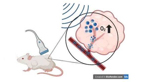Доставка кислорода к опухолям на мышах