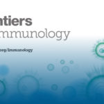 Статья о CAR-T-терапии с участием онколога МИБС опубликована в журнале Frontiers in Immunology